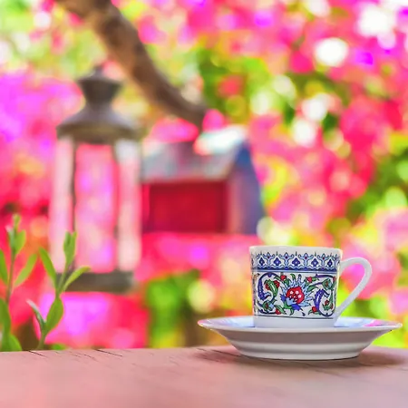 Ruezgar Guelue 2* Alaçatı