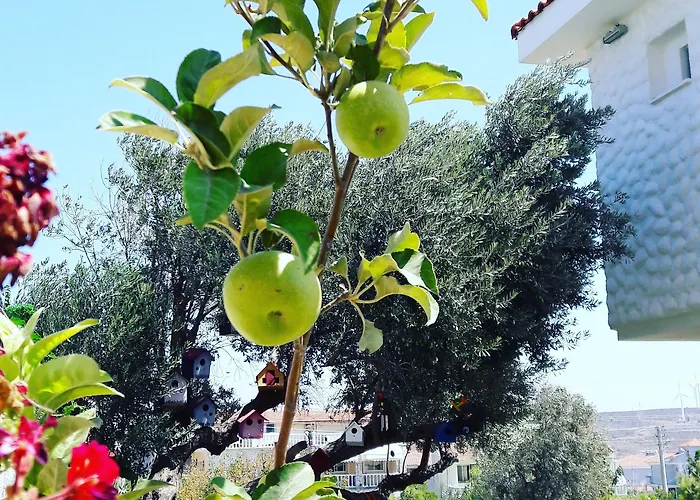 호텔 Ruezgar Guelue