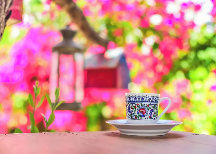 Ruezgar Guelue 2* 알라카티